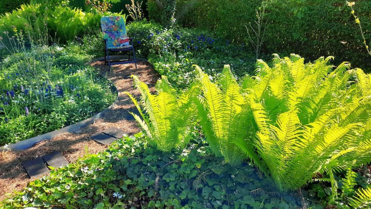 Mitten Im Seenland Und Spreewaldnah, Schoener Garten Storkow  Esterno foto