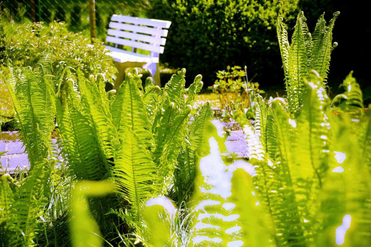 Mitten Im Seenland Und Spreewaldnah, Schoener Garten Storkow  Esterno foto