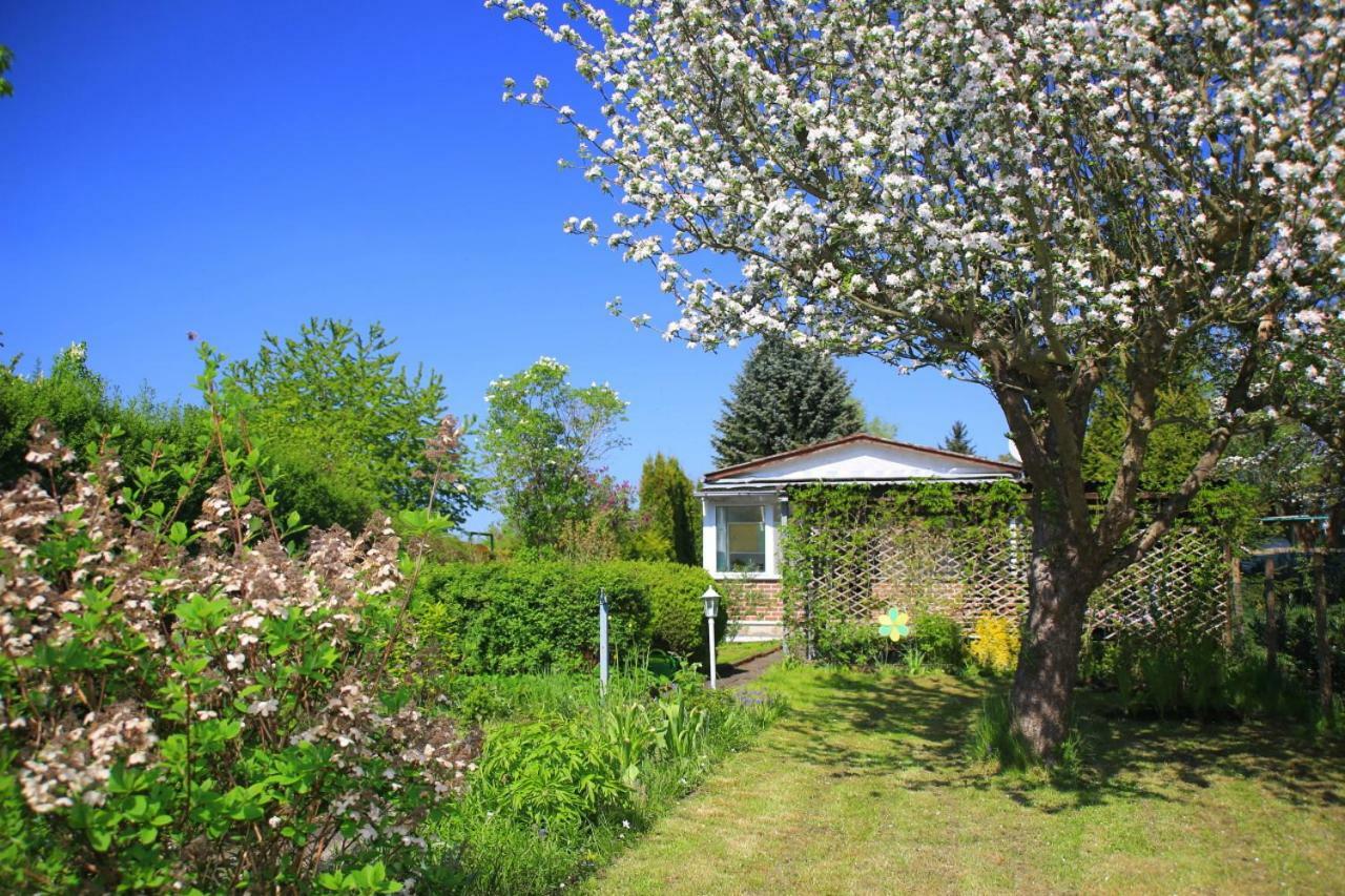 Mitten Im Seenland Und Spreewaldnah, Schoener Garten Storkow  Esterno foto